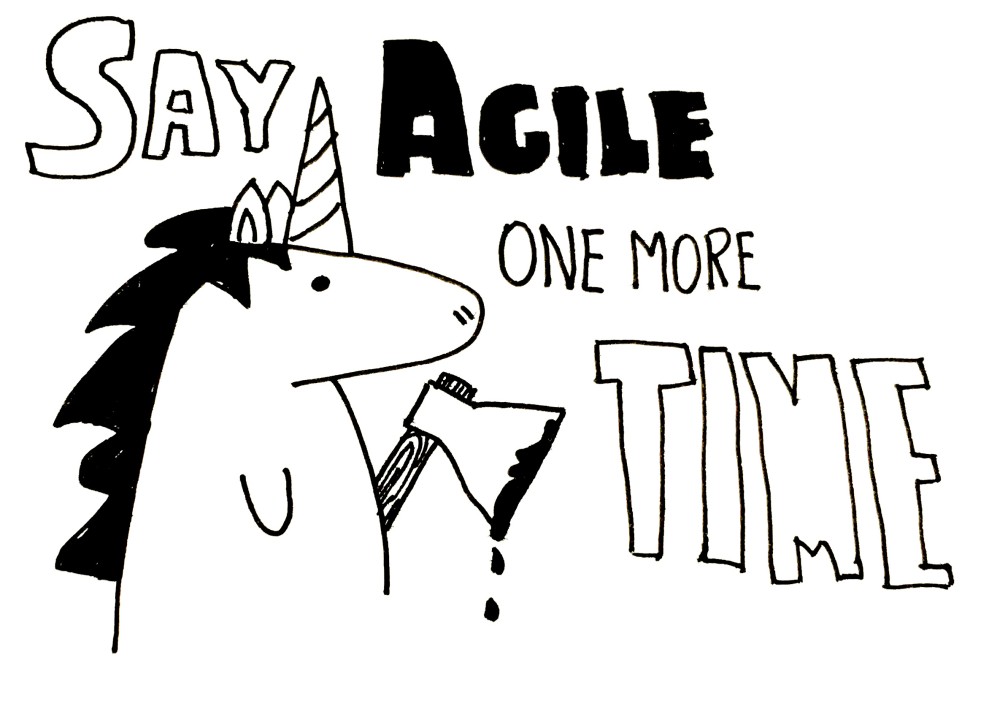 ‘To Agile or not to Agile’ - That is the Question